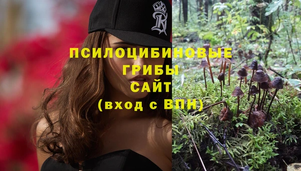 каннабис Арсеньев