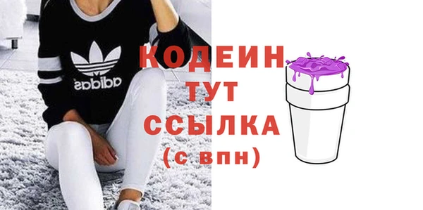 индика Баксан