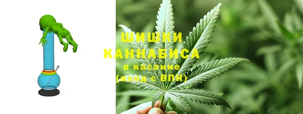 крисы Балахна