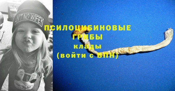 индика Баксан