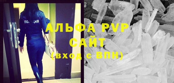 индика Баксан