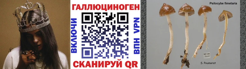 что такое наркотик  Покров  Псилоцибиновые грибы мухоморы 